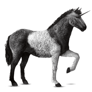 licorne de selle criollo argentin pie noir tobiano