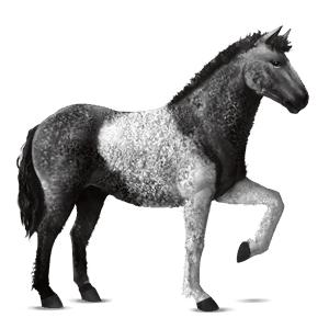 cheval de selle cheval islandais alezan