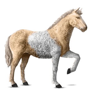 cheval de selle trotteur américain bai cerise
