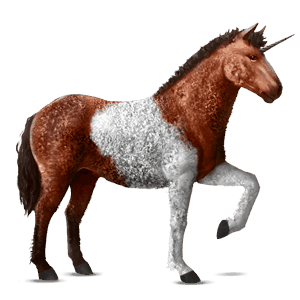 licorne de selle curly pie tobiano bai cerise