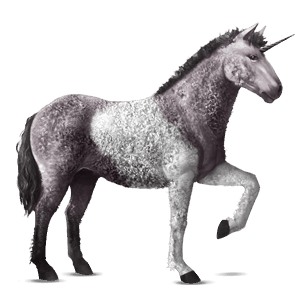 licorne de selle curly pie tobiano gris souris