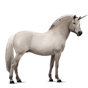 poney licorne fjord brunblakk