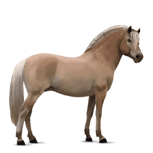 poney quarter pony palomino