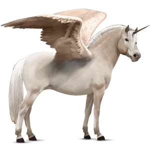 poney licorne ailé fjord brunblakk