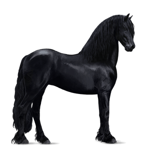 cheval de selle quarter horse bai
