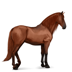 cheval de selle pure race espagnole alezan