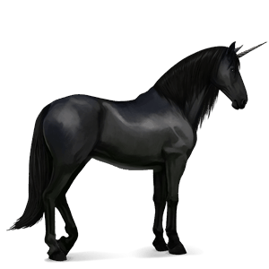 licorne de selle pure race espagnole noir