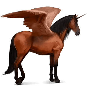 licorne de selle ailée pure race espagnole bai