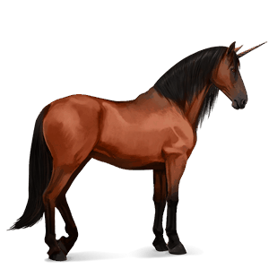 licorne de selle barbe bai cerise