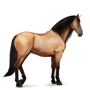 cheval de selle henson isabelle