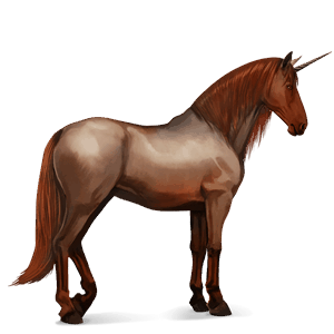 licorne de selle paso péruvien bai