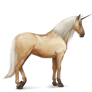 licorne de selle cheval canadien bai brûlé