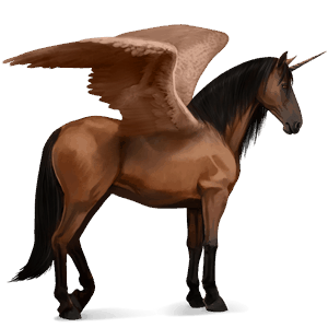 licorne de selle ailée arabe bai