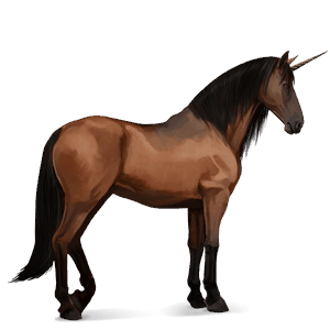 licorne de selle lusitanien bai