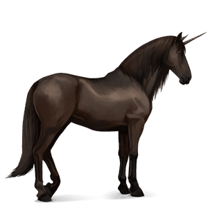 licorne de selle cheval canadien alezan brûlé