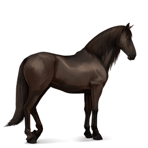 cheval de selle donskaya alezan brûlé