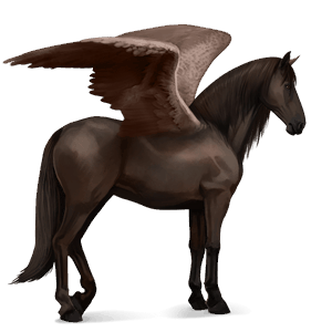 pégase de selle cheval canadien alezan brûlé
