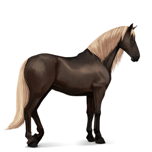 cheval de selle pure race espagnole gris pommelé