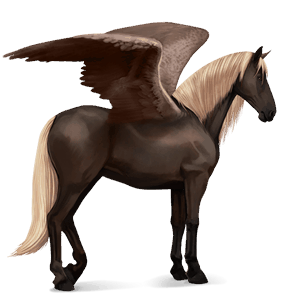 pégase de selle paso péruvien palomino
