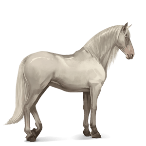 cheval de selle trotteur orlov bai cerise
