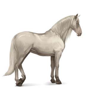 cheval de selle paint horse pie tovero alezan brûlé