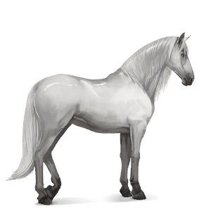cheval de selle lipizzan gris clair