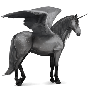 licorne de selle ailée criollo argentin gris pommelé