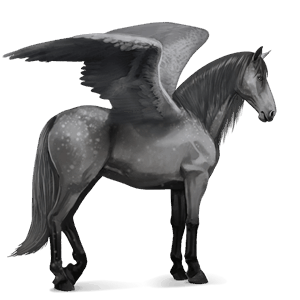 pégase de selle lipizzan gris pommelé