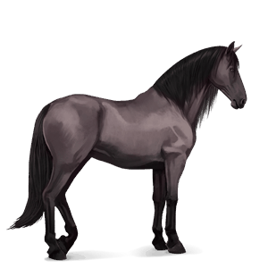 cheval de selle barbe gris souris