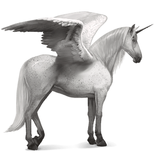 licorne de selle ailée lipizzan gris truité