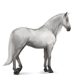 cheval de selle lusitanien gris clair