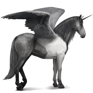 licorne de selle ailée arabe gris pommelé