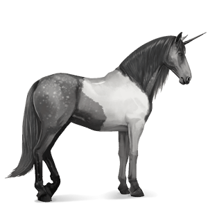 licorne de selle mangalarga marchador pie tobiano gris pommelé