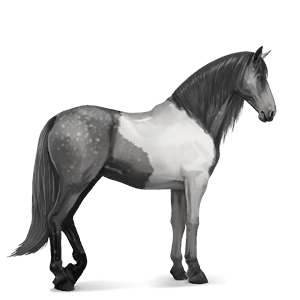 cheval de selle lusitanien palomino