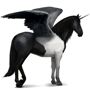 licorne de selle ailée kwpn bai