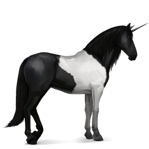 licorne de selle misaki noir