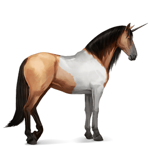 licorne de selle mangalarga marchador pie tobiano isabelle
