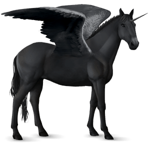 licorne de selle ailée knabstrup noir