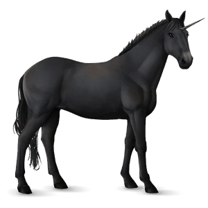 licorne de selle morgan noir