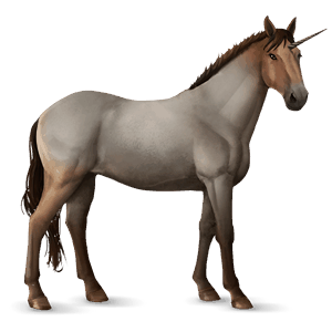 licorne de selle selle français bai brûlé