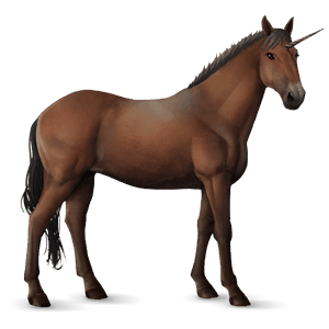 licorne de selle arabe bai