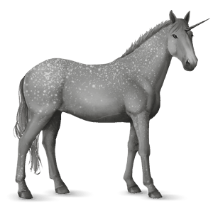 licorne de selle criollo argentin noir