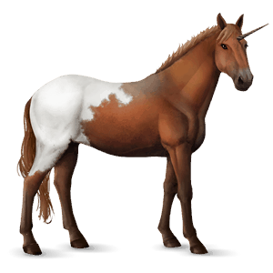 licorne de selle brumby aubère