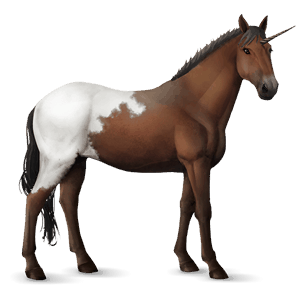 licorne de selle knabstrup blanket bai
