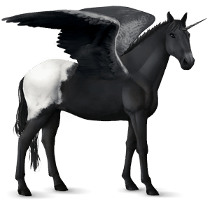 licorne de selle ailée knabstrup snowflake noir