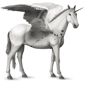 licorne de selle ailée knabstrup few spots noir