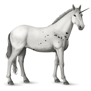 licorne de selle knabstrup few spots noir