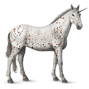 licorne de selle knabstrup leopard alezan