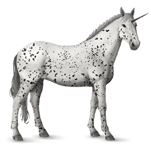 licorne de selle knabstrup gris pommelé