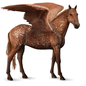 pégase de selle appaloosa snowflake alezan
